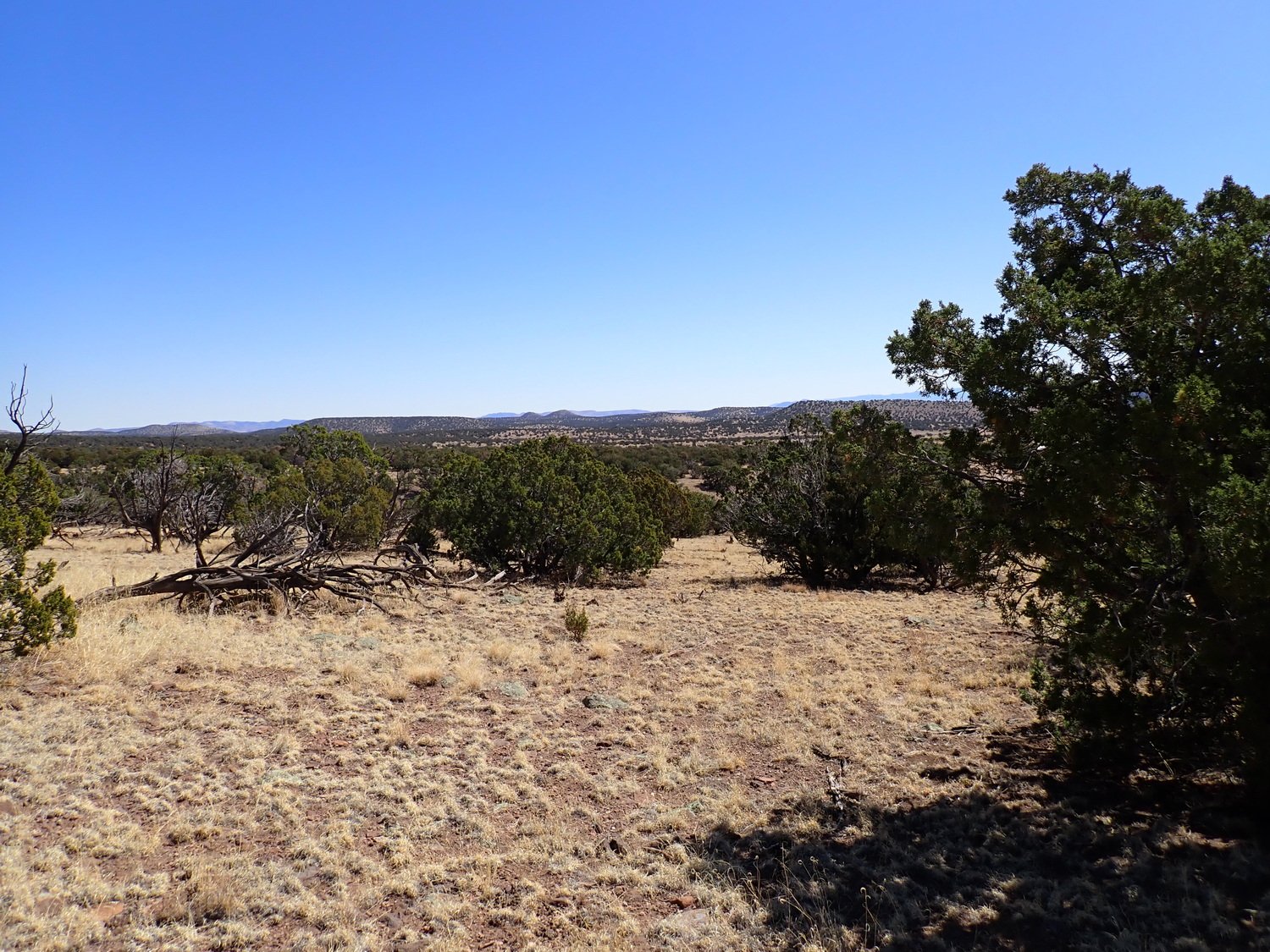 View Looking East