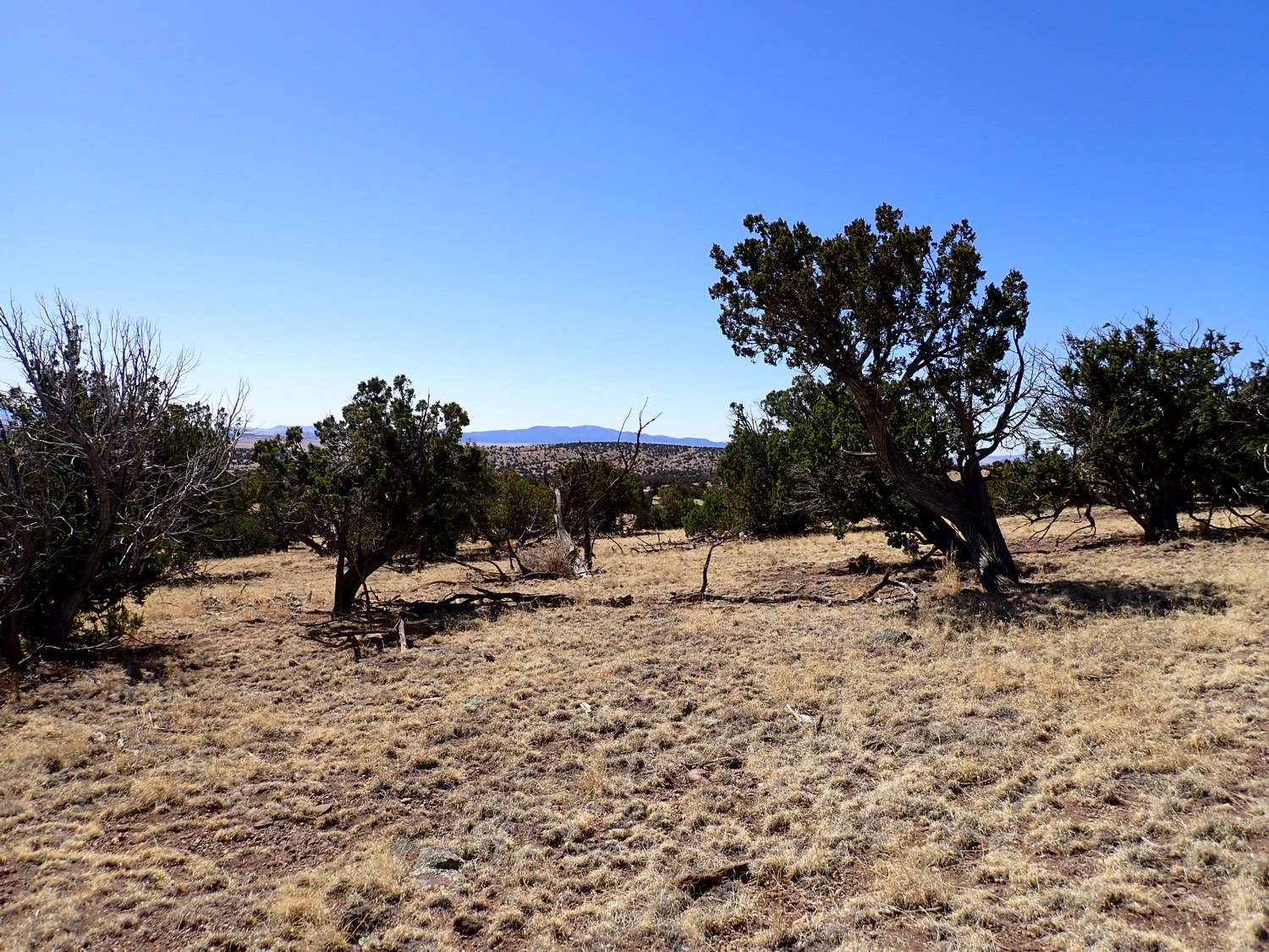 View Looking South