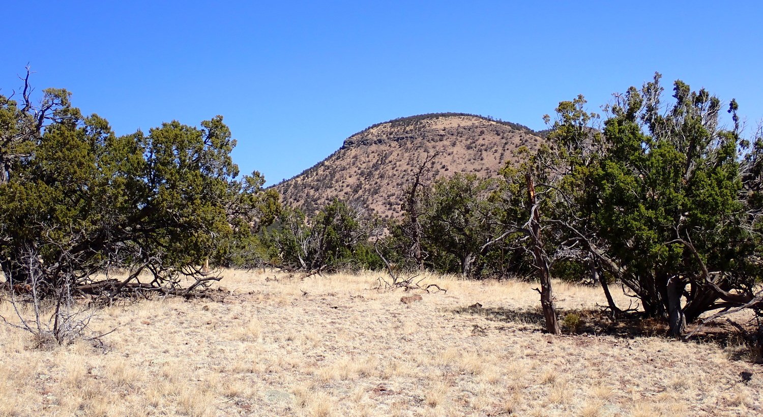 Lot 21 15.57 acres Wildwood, Datil NM