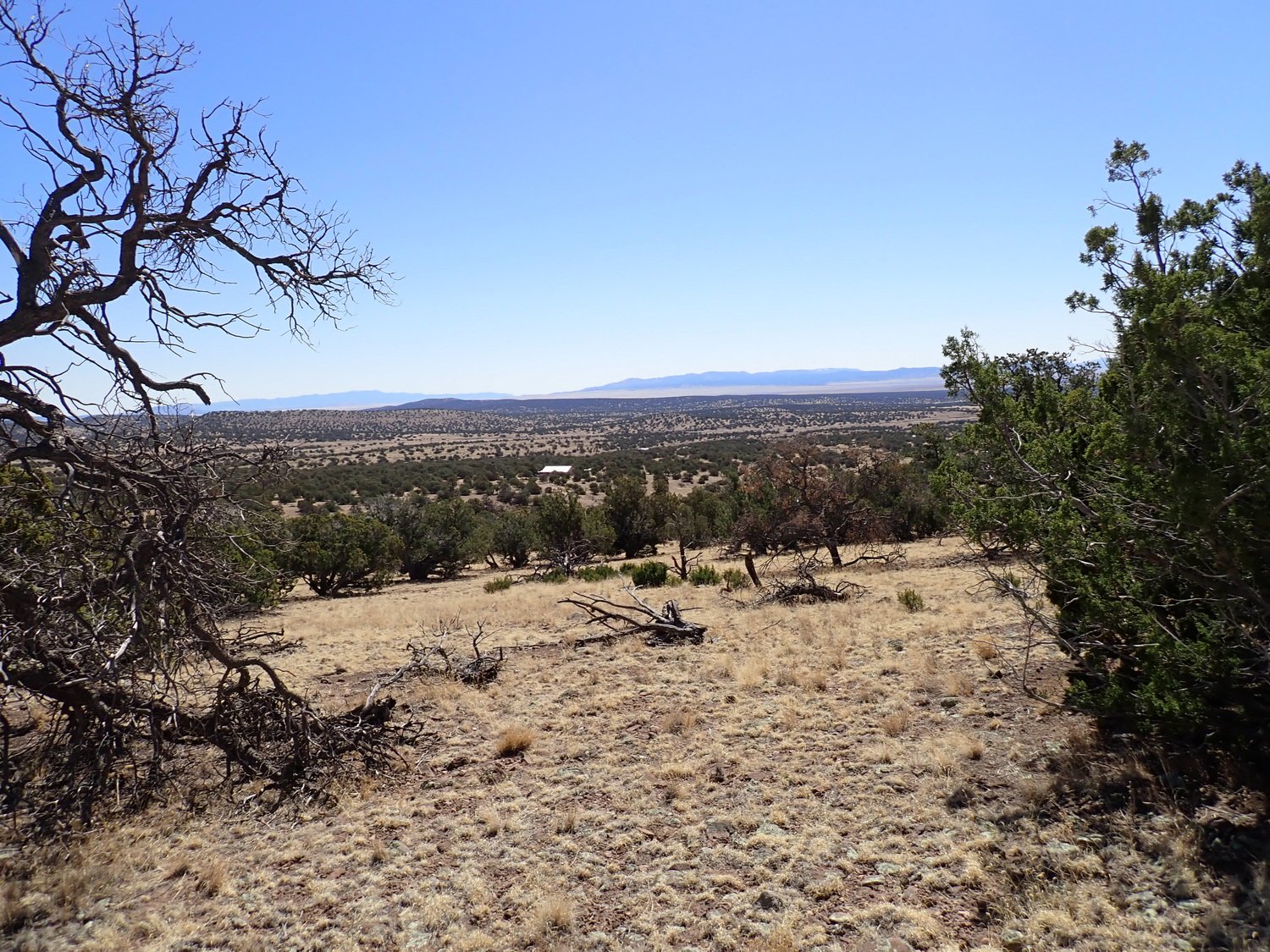 View Looking SE