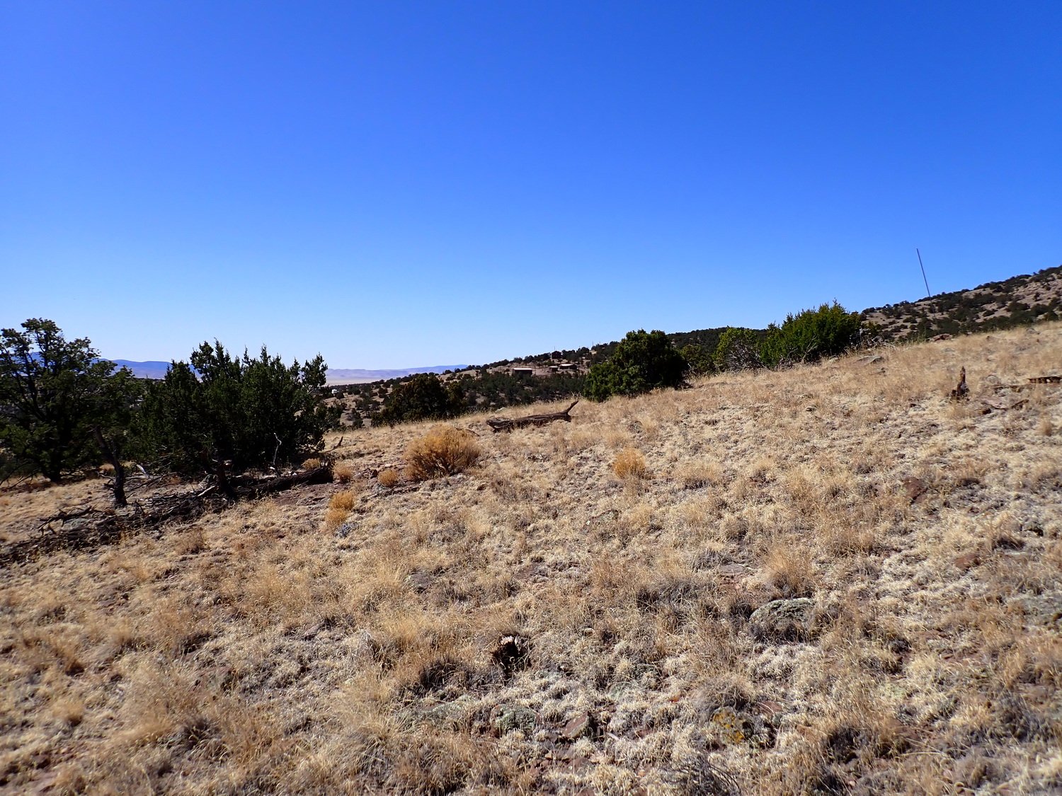 View Looking SW