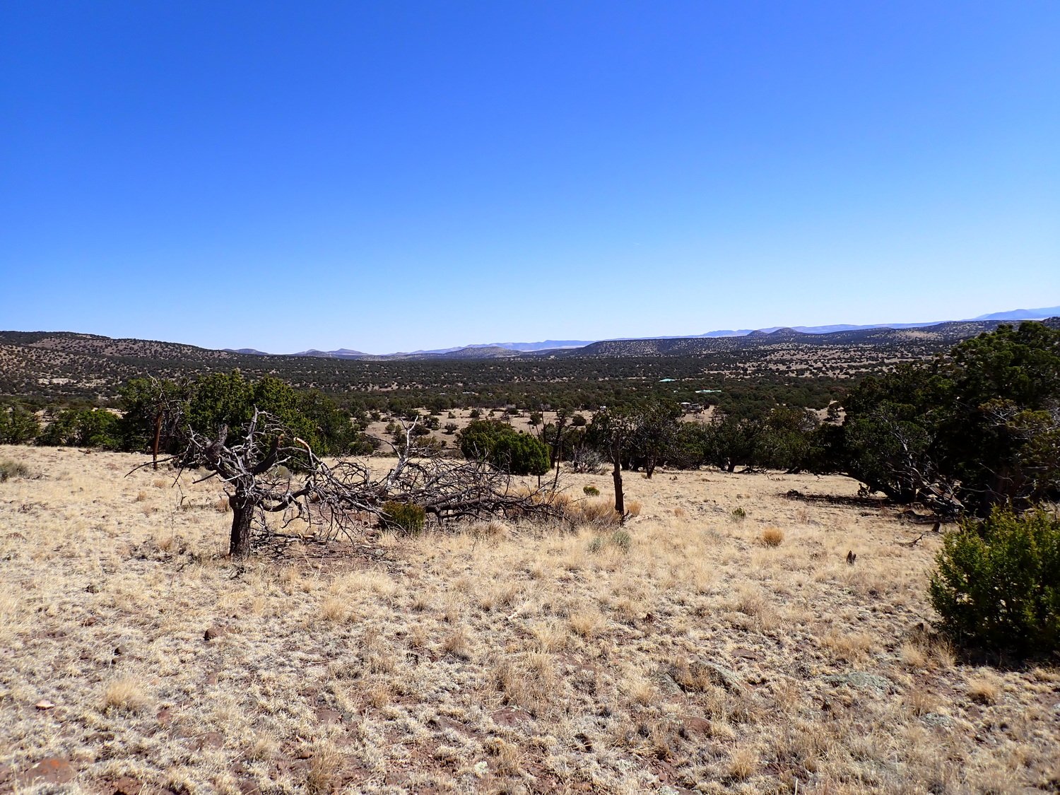 View Looking East