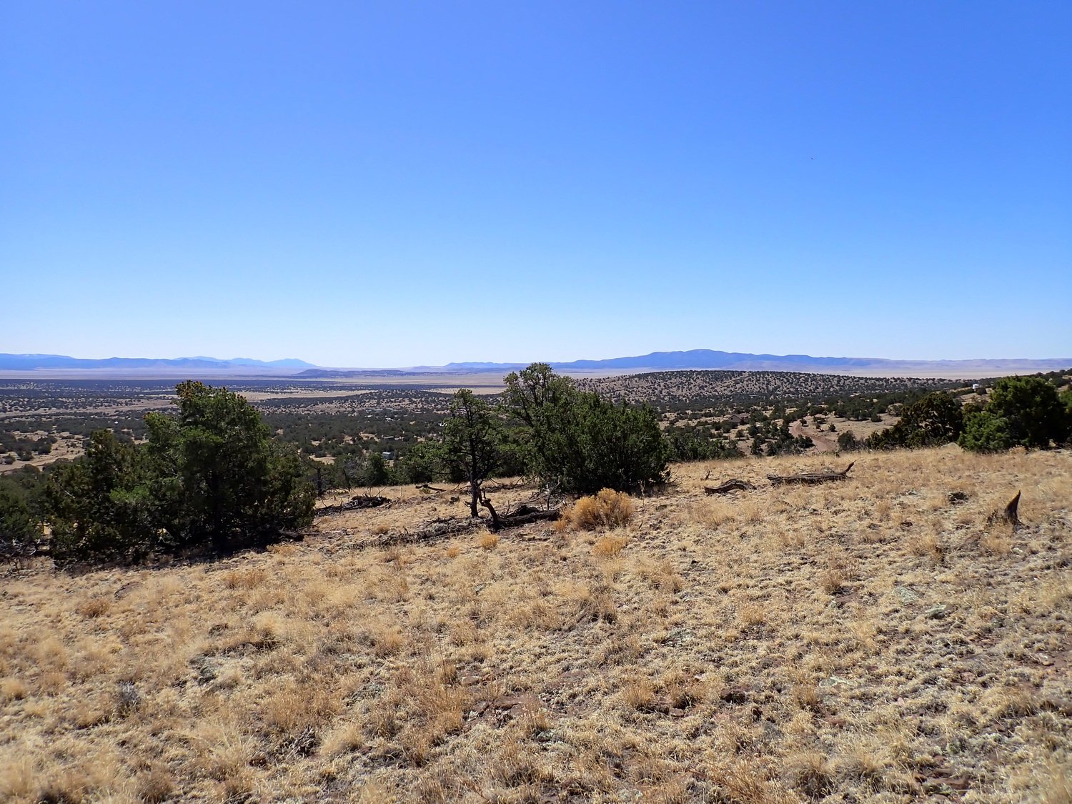 View Looking South