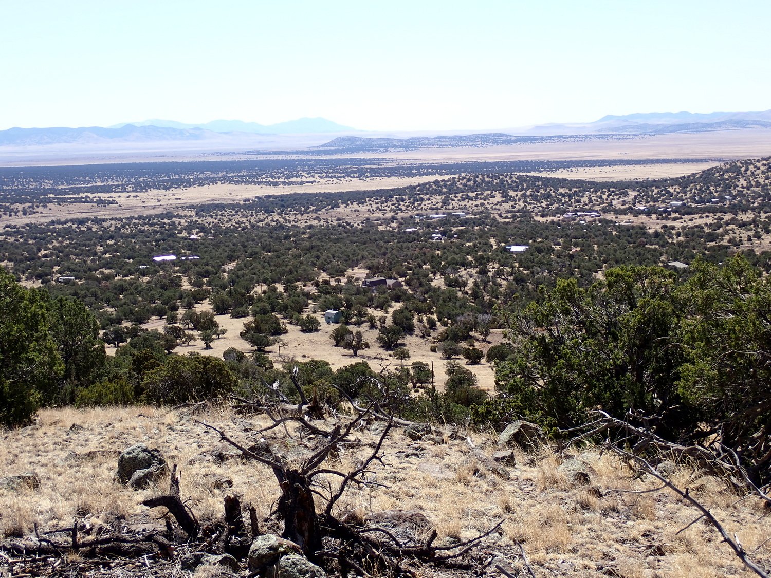View Looking SE