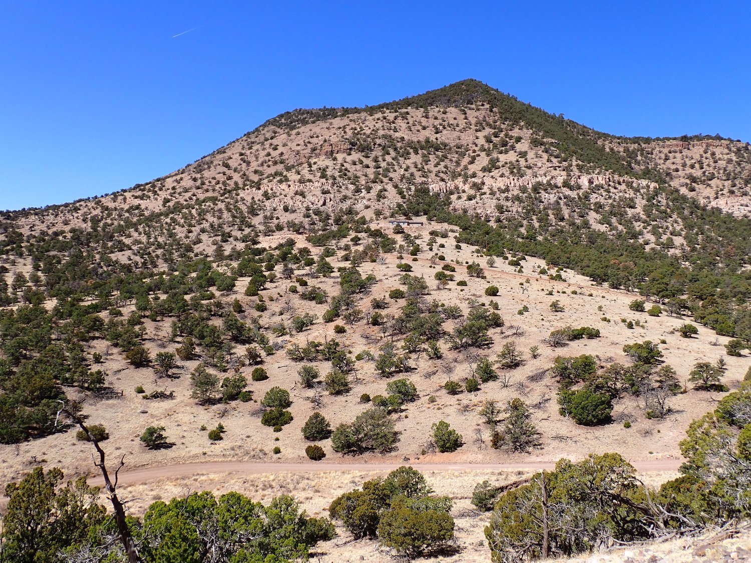 View Looking West