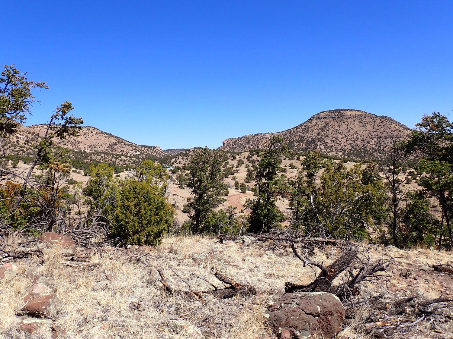 View Looking North