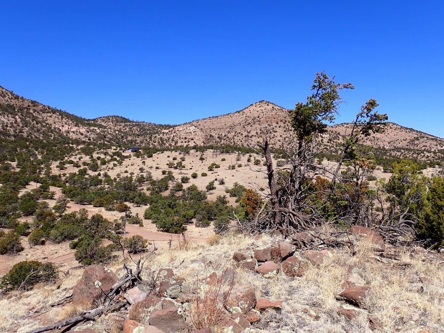 NW View