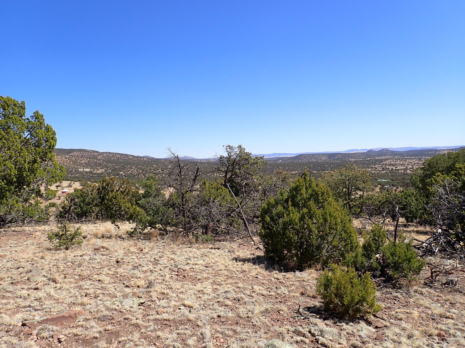 View Looking NE