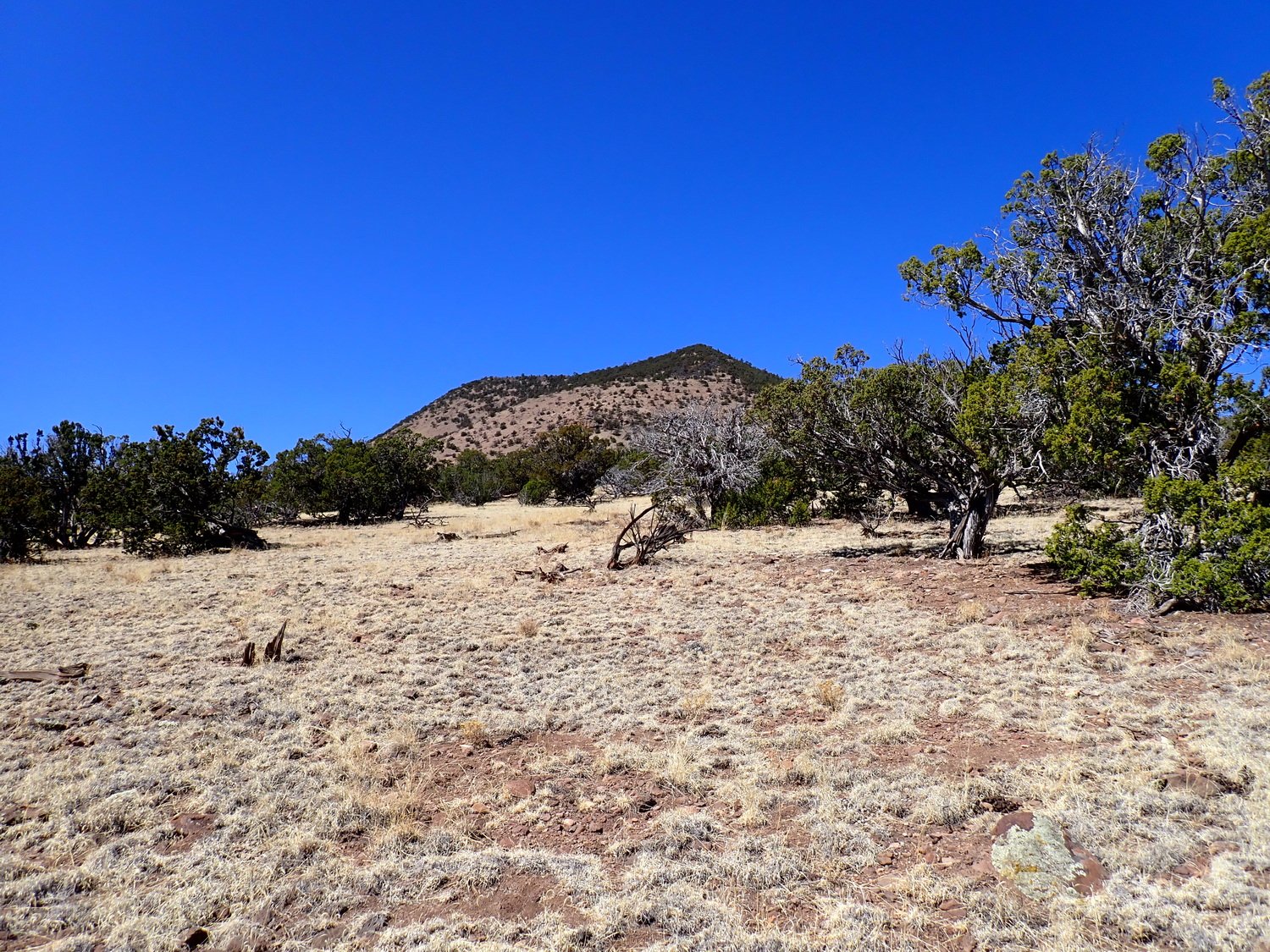 16 Acres in Wildwood Subdivision Datil NM For Sale