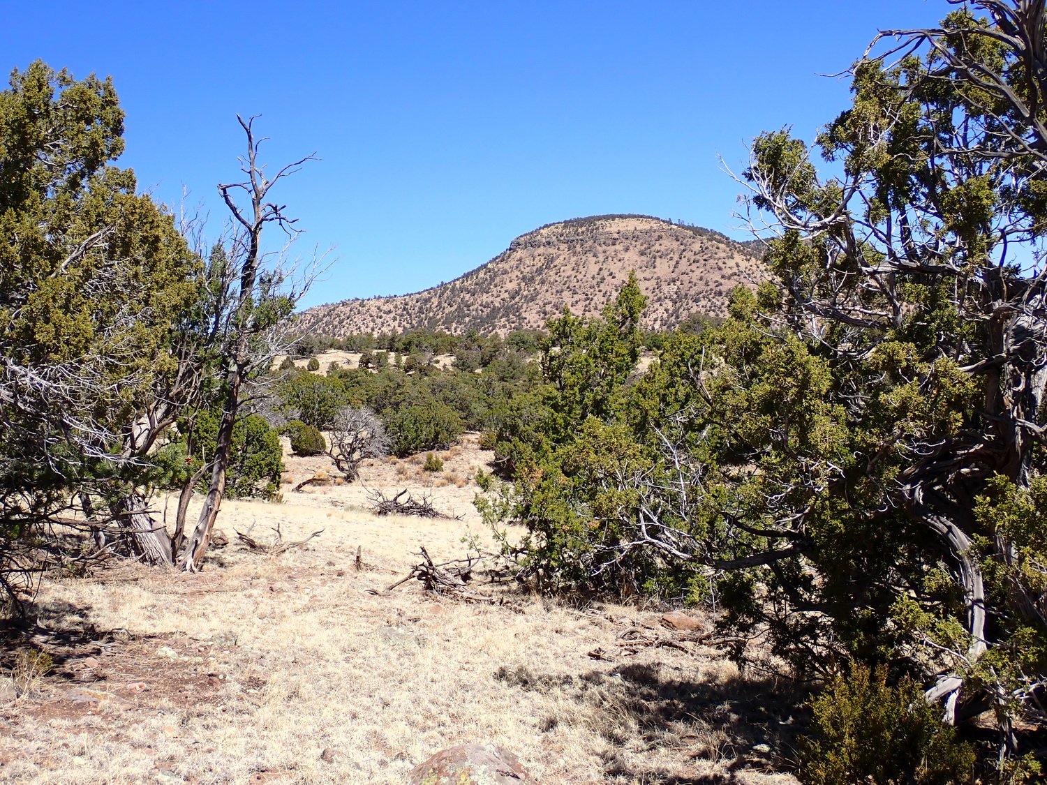 View Looking North