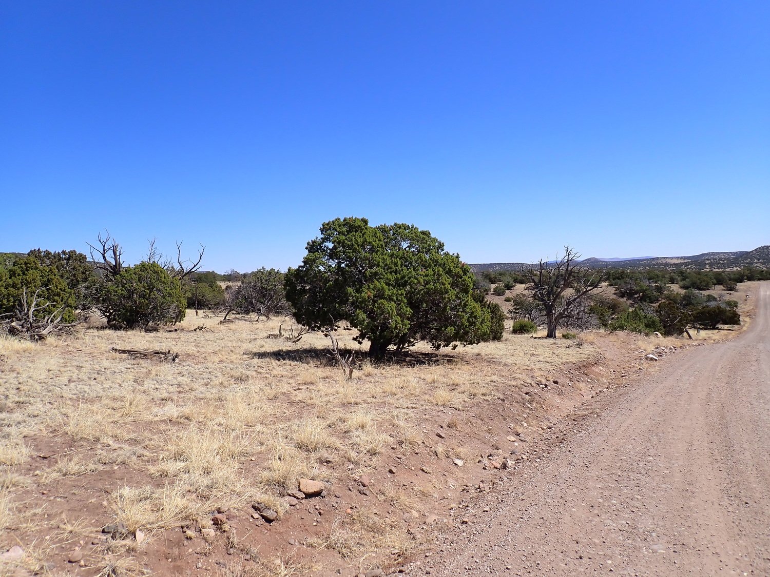 Road South Side