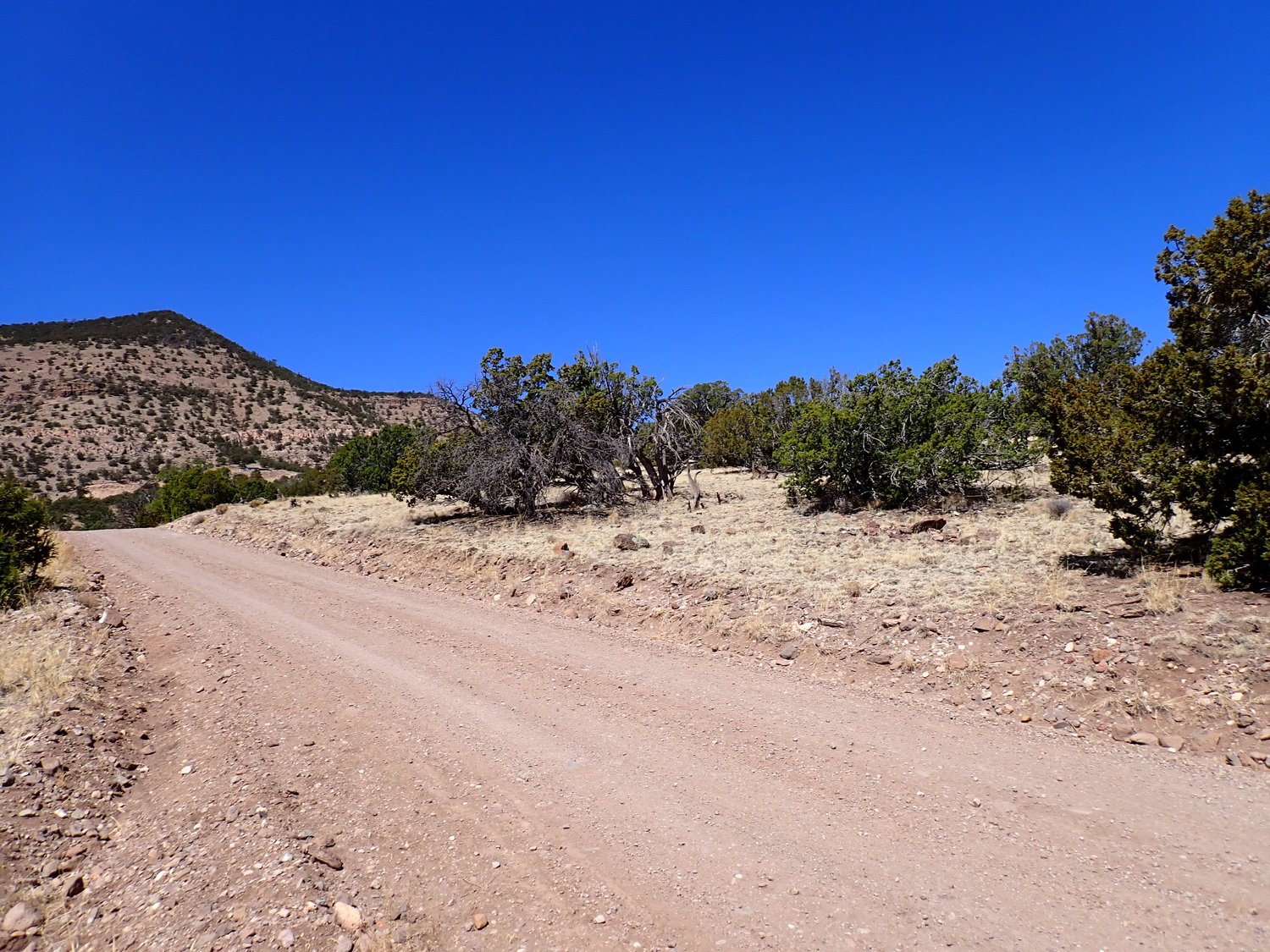 Road South Side